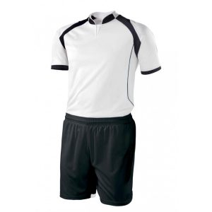 DS-SWHBU(1)