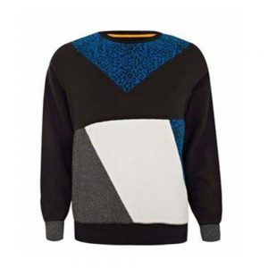 DS-SS2
