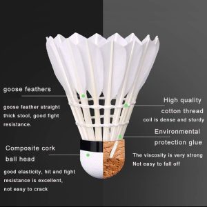 Shuttlecock